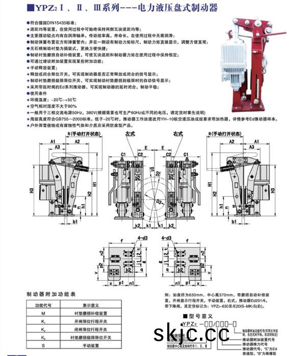 YPZ21